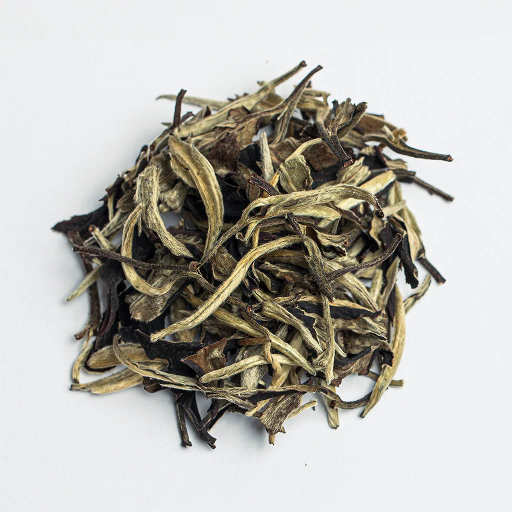 Юе Гуань Бай Ча “Місячне Сяйво”