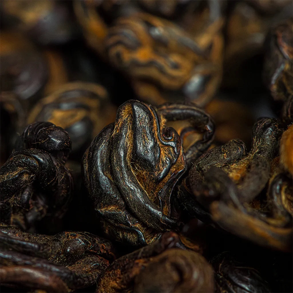 Золоті Равлики (Дянь Хун Цзинь Бі Ло)