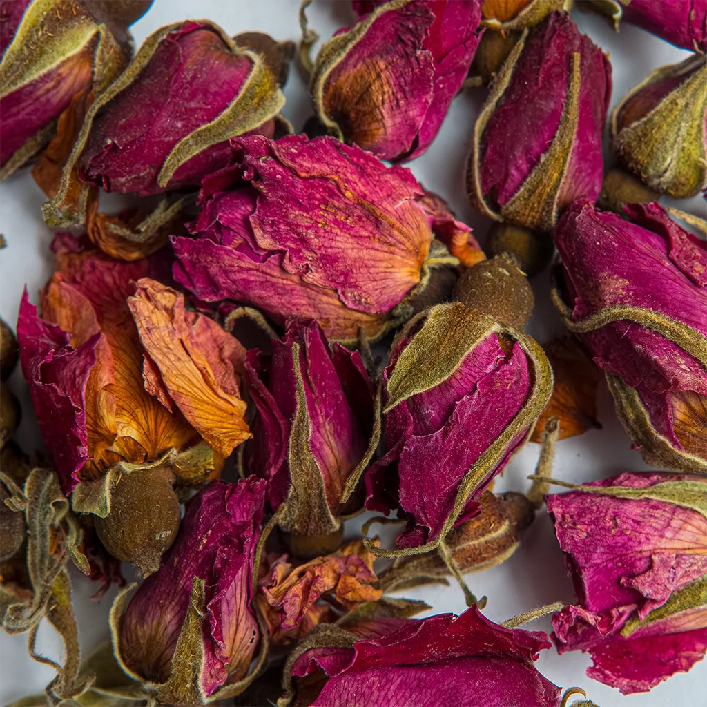 Чайна Троянда