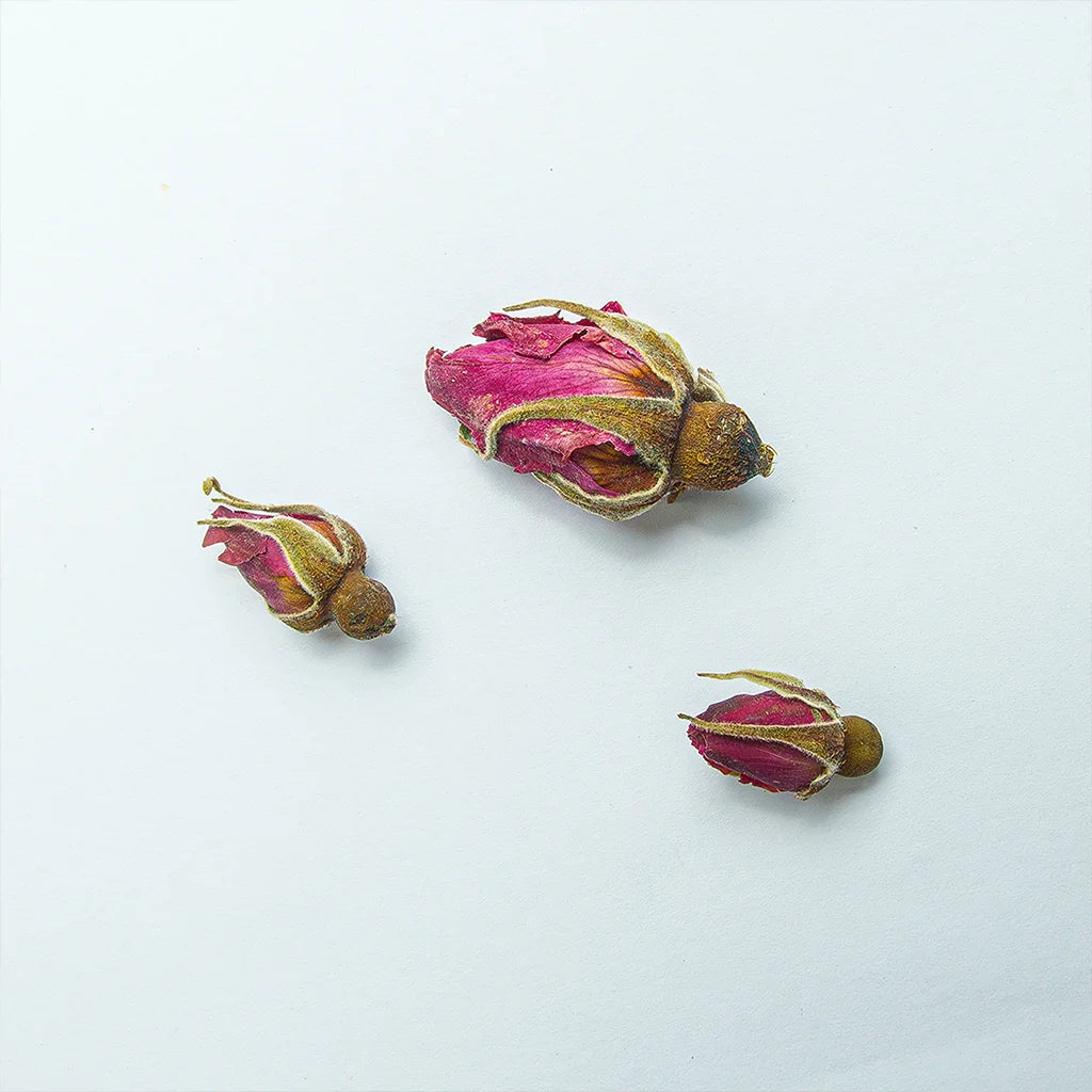 Чайна Троянда