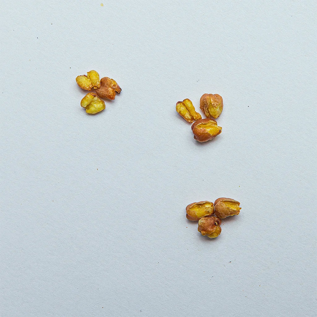 Гречаний (Ку Цяо)