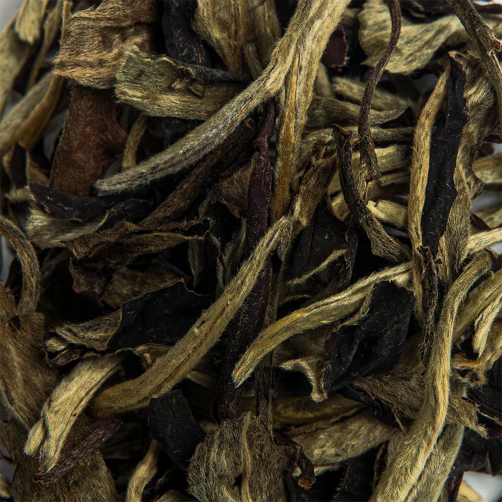 Юе Гуань Бай Ча “Місячне Сяйво”