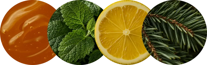 Опис смаку