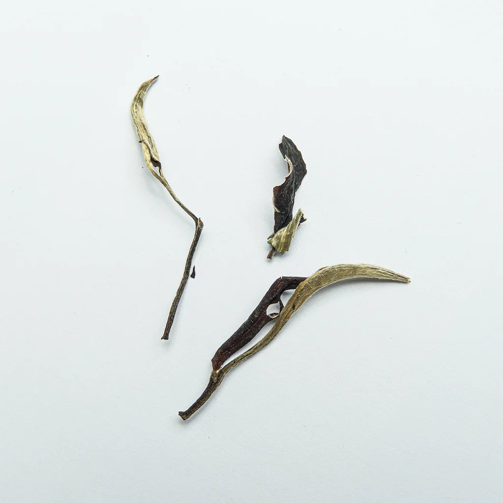 Юе Гуань Бай Ча “Місячне Сяйво”