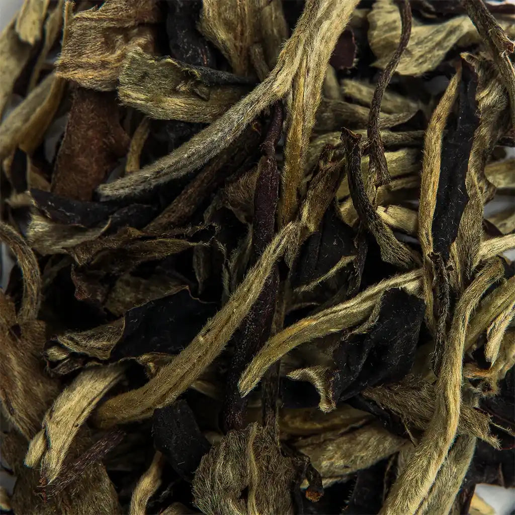 Білий чай “Місячне Сяйво” — унікальний Юе Гуань Бай Ча з Юньнаню, з характером місцевих земель. Купити онлайн.