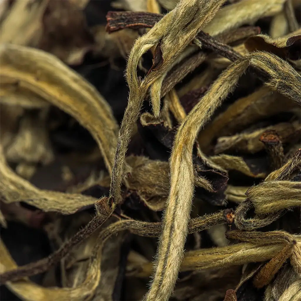 Юе Гуань Бай Ча 50г — нетиповий білий чай із Юньнаню, народжений серед гір і туманів. Замовити ароматний напій.