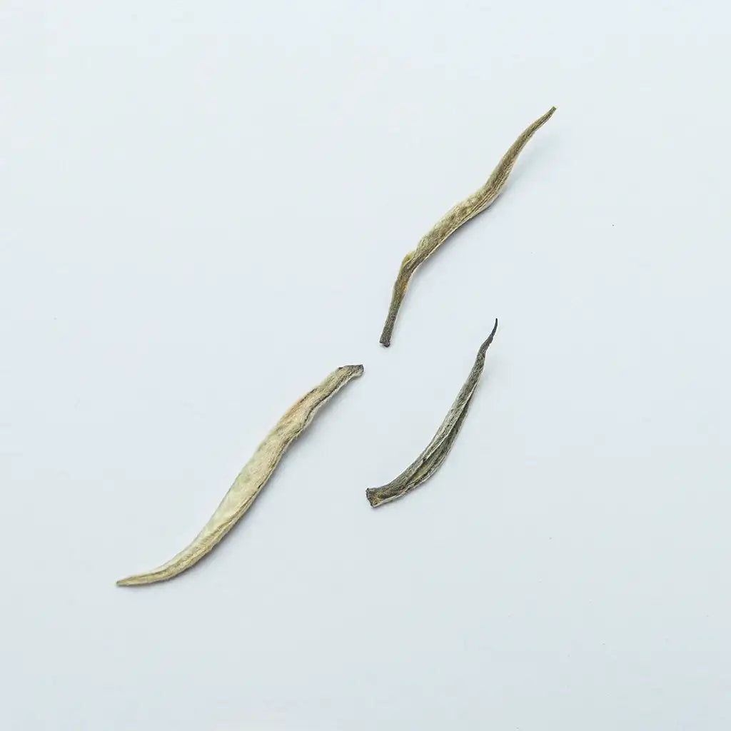 Купити Інь Чжень 50г — легендарний білий чай із сріблястими бруньками, що вважався напоєм знаті у Фуцзяні. Натуральний смак.