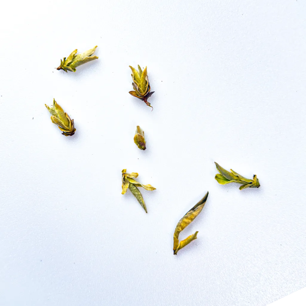 Я Бао